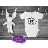 Milestones Baby Bodysuit - Tututally Cute Custom Creations