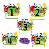 Farm Birthday Shirt - Tututally Cute Custom Creations