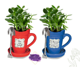 Mother's Day Flower Pot Mug/Planter - Tututally Cute Custom Creations