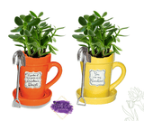 Mother's Day Flower Pot Mug/Planter - Tututally Cute Custom Creations