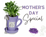 Mother's Day Flower Pot Mug/Planter - Tututally Cute Custom Creations