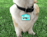 Pet I.D Tag - Tututally Cute Custom Creations