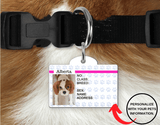 Pet I.D Tag - Tututally Cute Custom Creations